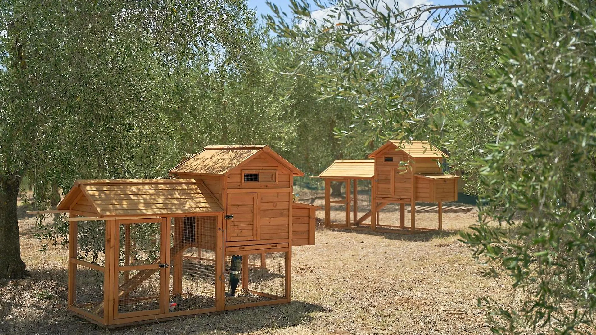 Agriturismo Al Podere Dei Nonni Preselle Farm stay