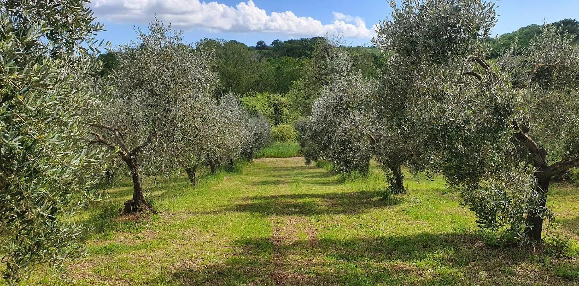 Farm stay Agriturismo Al Podere Dei Nonni Preselle