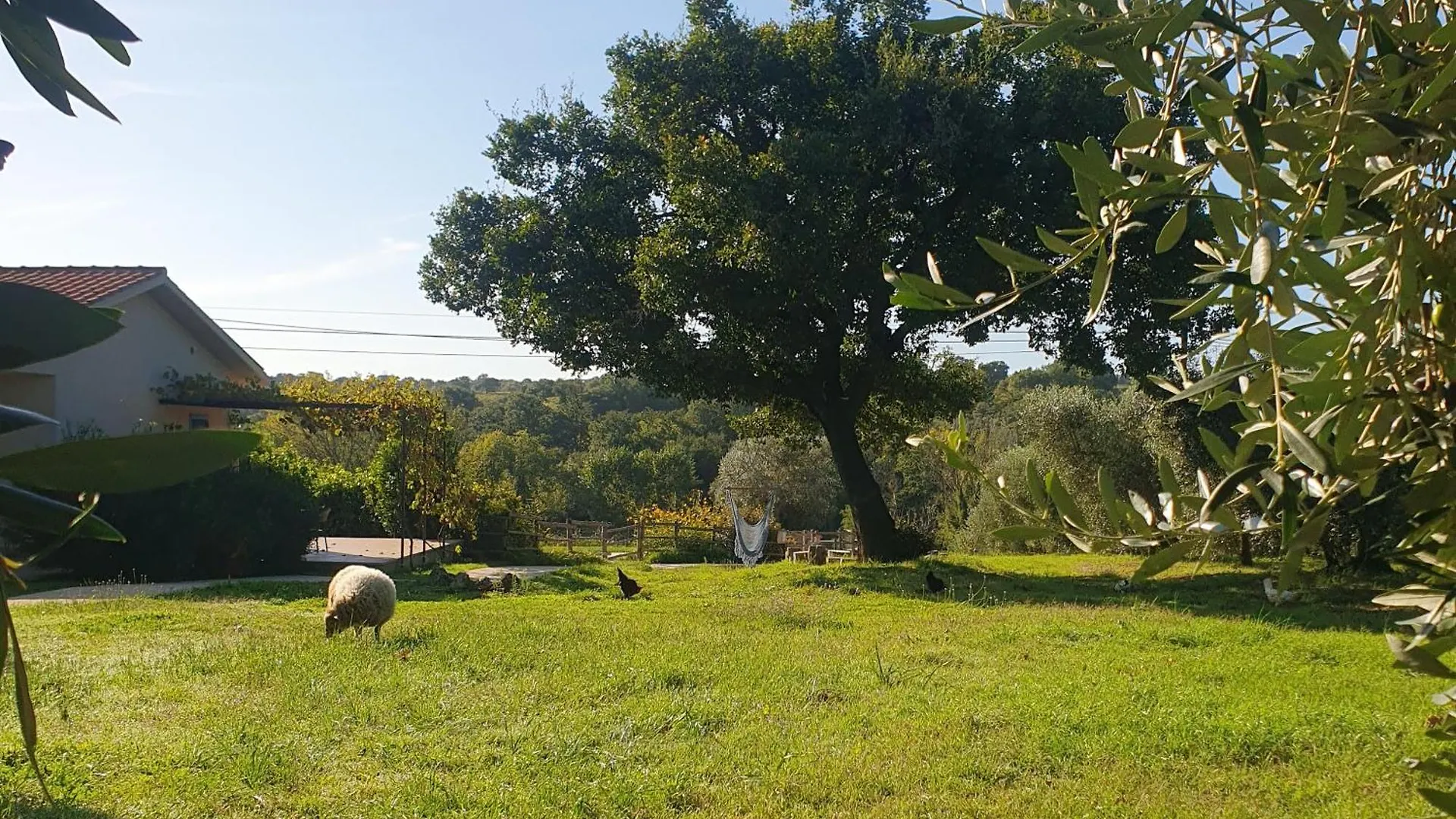 Agriturismo Al Podere Dei Nonni Preselle Farm stay